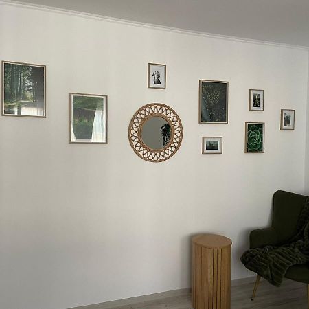 Carol Apartament'S Temešvár Exteriér fotografie