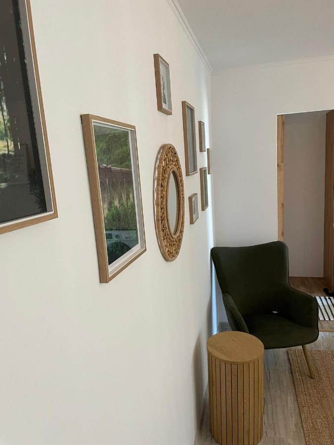 Carol Apartament'S Temešvár Exteriér fotografie