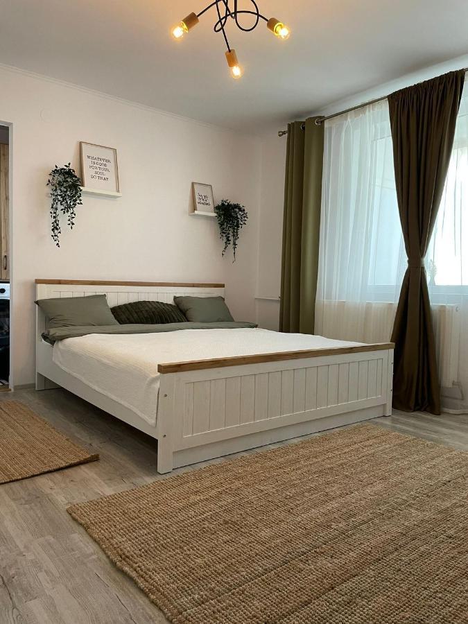 Carol Apartament'S Temešvár Exteriér fotografie