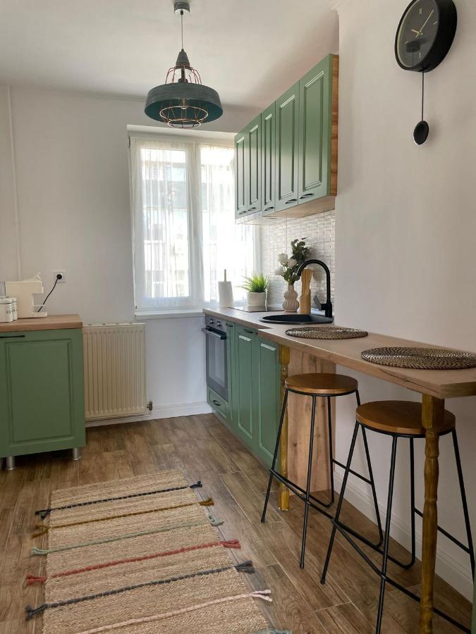 Carol Apartament'S Temešvár Exteriér fotografie